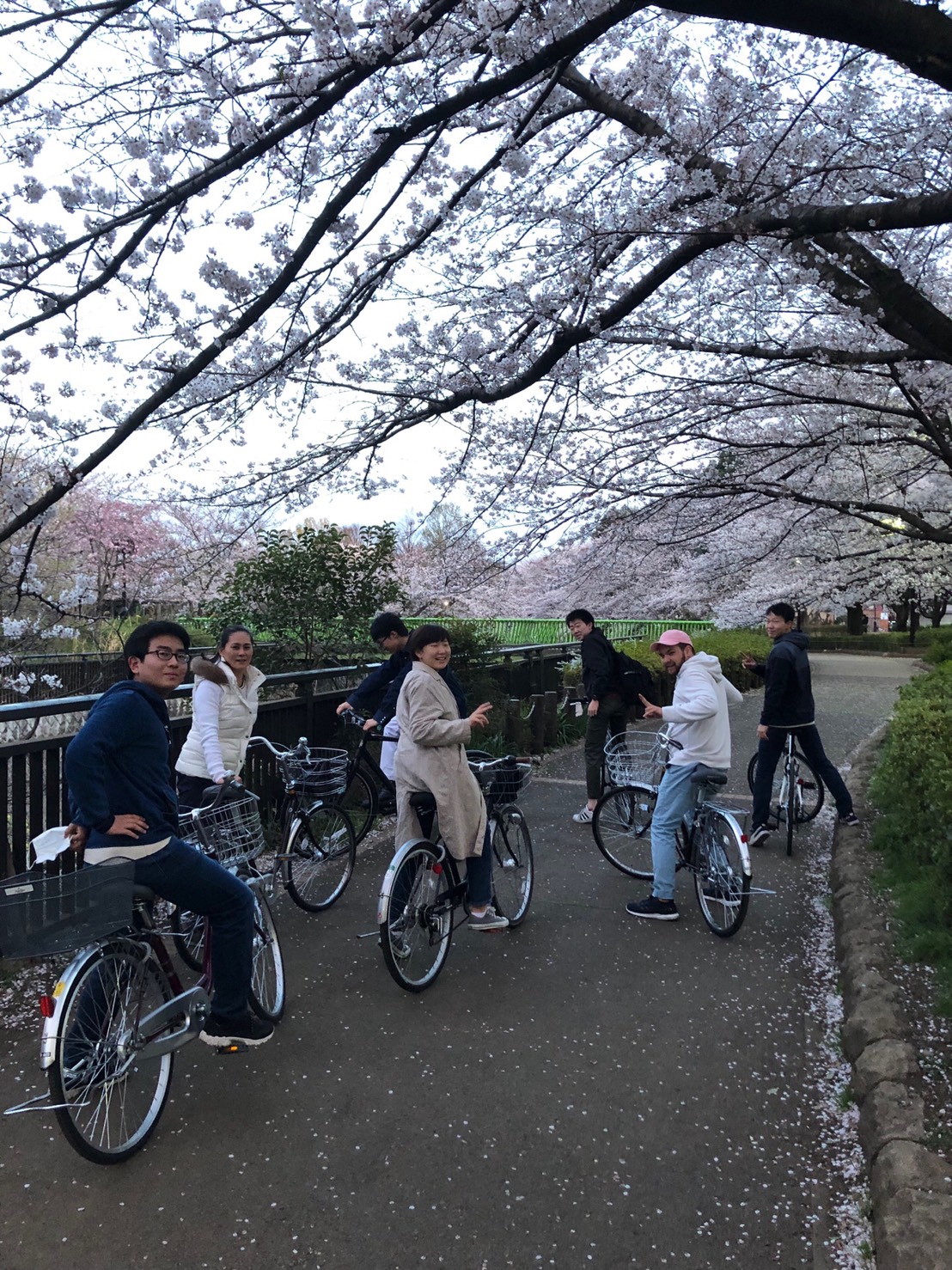 blog 1